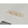 Banjo folk Richwood 5 cuerdas caoba 24 tensores