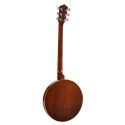 Banjo 6 cuerdas Richwood caoba 24T