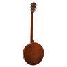 Banjo 6 cuerdas Richwood caoba 24T