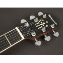 Banjo 6 cuerdas Richwood caoba 24T