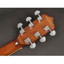 Banjo 6 cuerdas Richwood caoba 24T