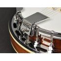 Banjo 6 cuerdas Richwood caoba 24T