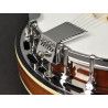 Banjo 6 cuerdas Richwood caoba 24T