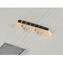 Banjo 6 cuerdas Richwood caoba 24T