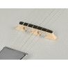 Banjo 6 cuerdas Richwood caoba 24T