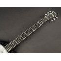 Banjo 6 cuerdas Richwood caoba 24T