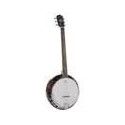 Banjo 6 cuerdas Richwood caoba 24T