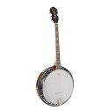 Banjo 4 c. Richwood aluminio 24T