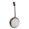Banjo 4 c. Richwood aluminio 24T