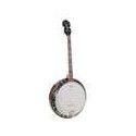 Banjo 4 c. Richwood aluminio 24T