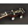 Banjo 4 c. Richwood aluminio 24T 17 trastes