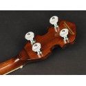 Banjo 4 c. Richwood aluminio 24T 17 trastes