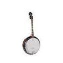 Banjo 4 c. Richwood aluminio 24T 17 trastes