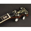 Banjo Bluegrass Richwood de 5 cuerdas 24T
