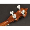 Banjo Bluegrass Richwood de 5 cuerdas 24T