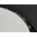 Banjo Bluegrass Richwood de 5 cuerdas 24T