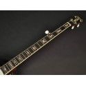 Banjo Bluegrass Richwood de 5 cuerdas 24T