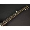Banjo Bluegrass Richwood de 5 cuerdas 24T