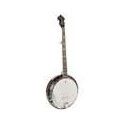 Banjo Bluegrass Richwood de 5 cuerdas 24T