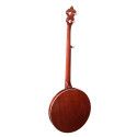 Banjo Bluegrass 5 cuerdas Richwood aluminio 24T