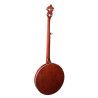Banjo Bluegrass 5 cuerdas Richwood aluminio 24T
