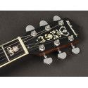Banjo 6 cuerdas Richwood aluminio-ébano 24T