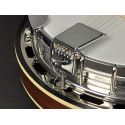Banjo 6 cuerdas Richwood aluminio-ébano 24T