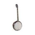 Banjo 6 cuerdas Richwood aluminio-ébano 24T