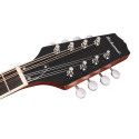 Banjo mandolina Richwood fondo abierto 12T