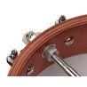 Banjo mandolina Richwood fondo abierto 12T