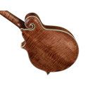 Mandolina esti. F Richwood MACIZO arce-abeto nogal