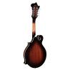 Mandolina est. F Richwood tapa de abeto sunburst