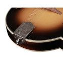 Mandolina est. F Richwood tapa de abeto sunburst
