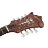 Mandolina est. F Richwood MACIZO arce-abeto natu