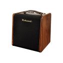 Amplificador guit. Acústica Richwood 2 canales