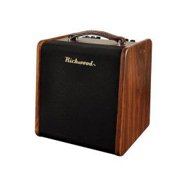Amplificador guit. Acústica Richwood 2 canales