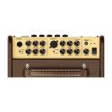 Amplificador guit. Acústica Richwood 2 canales