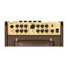 Amplificador guit. Acústica Richwood 2 canales