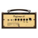 Amplificador guit. Acústica Richwood 2 canales