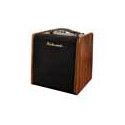 Amplificador guit. Acústica Richwood 2 canales