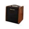 Amplificador guit. Acústica Richwood 2 canales