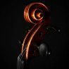 VIOLÍN RUDOLPH 4/4 ARCE FLAMEADO ACABADO ANTIGUO