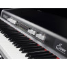 Piano escenario Crumar SEVEN 73 notas