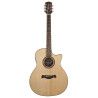 Guit. acú. CE Richwood Songwriter R ARTESANA