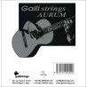 string set classic, gold bronze wound, black nylon