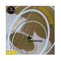 string set acoustic bass, phosphor bronze, light,