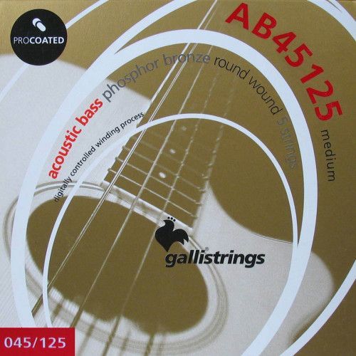 string set acoustic 5-string bass phosphor bronze