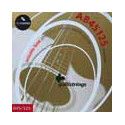 string set acoustic 5-string bass phosphor bronze