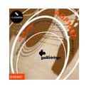 string set acoustic, phosphor bronze wound, extra