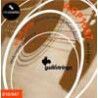 string set acoustic, phosphor bronze wound, extra